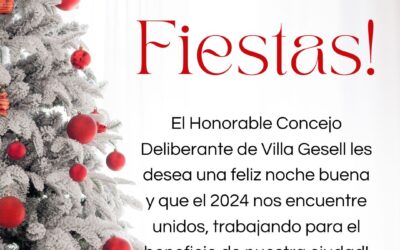 Felices Fiestas !!!
